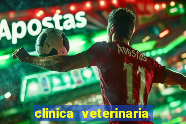 clinica veterinaria cuidar betim